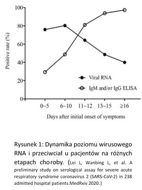 Dynamika wzrostu wirusowego RNA